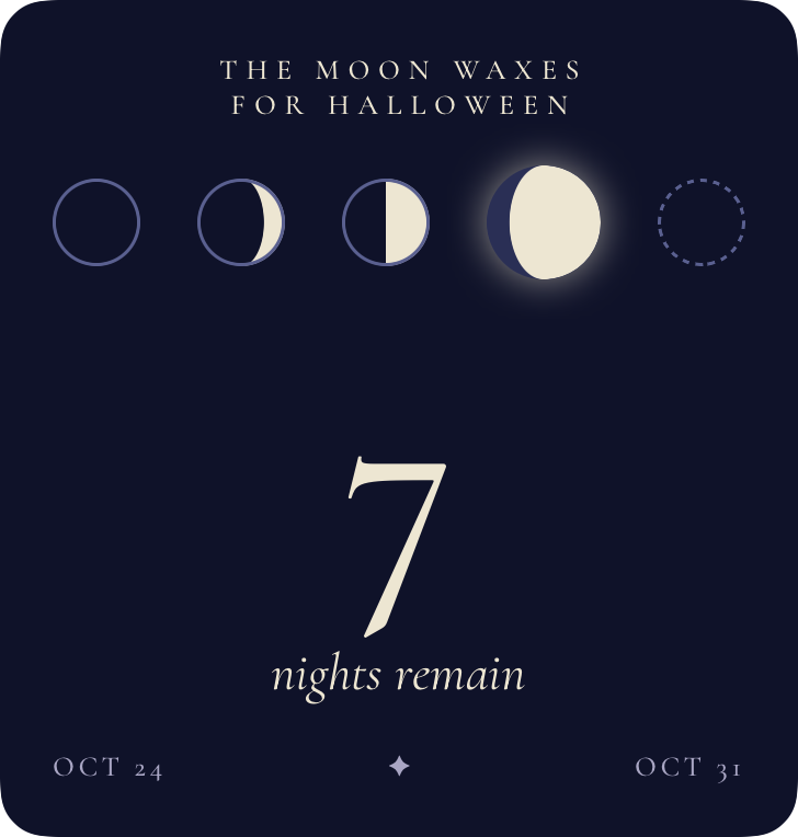 Moon Phases widget